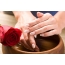 Hands, red rose