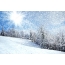 Sun, forest, snow
