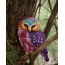 Very beautiful owl