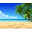 Sea, sun, beach, palm trees