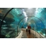 Under tunnel underwater