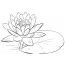 Paint lotus
