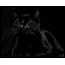 Gatto nero su sfondo nero