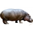 Cartoon hippo