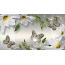 Chamomile, butterfly