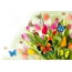Multicolored butterflies, a bouquet of tulips