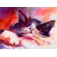 Akvarel maľované mačka