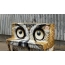 Piano owl