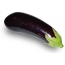 Long eggplant