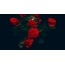 Red roses on the desktop