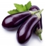 Picture eggplant on a white background