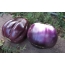 Huge Eggplant