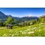 Mountain landscape of Bavaria