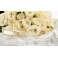 Buket kremastih ruža