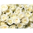 Cream roses full screen