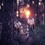 Dychová hudba v lese