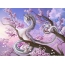 Dragon on sakura