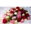Sarkanas, baltas un rozā rozes