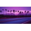 Purple sunset and palm trees