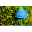 Blue mushroom in the forest