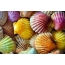 Colorful seashells full screen