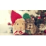 Christmas hamsters
