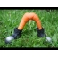 Funny carrot