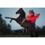 Girl in scarlet on horse