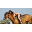 Fată sexy care călărește un cal