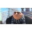 The main character from the cartoon "Despicable Me"