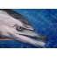 Rokas zīmējums delfīns