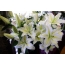 Bouquet na farin lilies