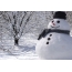 Cheerful snowman)