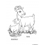 Coloring kids goat