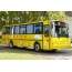 Yellow bus for children