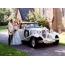 Wedding retro car