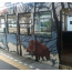 The incredible coloring of trains in Japan