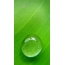 Una gota d'acqua nantu à un sfondate verde