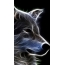 Muzzle of a wolf on a black background