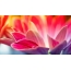 Flower pane desktop