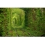 Zelený tunel