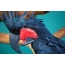 Blå papegøye