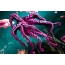 Pink blæksprutte