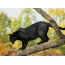 Panther på et træ