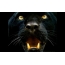 Panther hoved fuld skærm