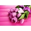 Bouquet fan tulpen