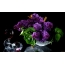 Lilac کے ساتھ تصویر
