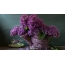 ایک ٹوکری میں Lilacs