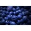 Beautiful blueberries on the screen saver