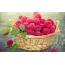Raspberries mudengu